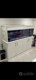 Acquario + sump + mobile