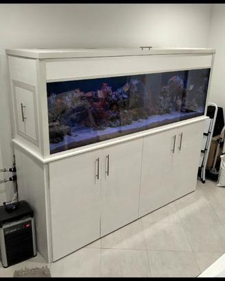 Acquario + sump + mobile