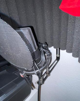 Microfono sE scheda audio e scudo fonoassorbente