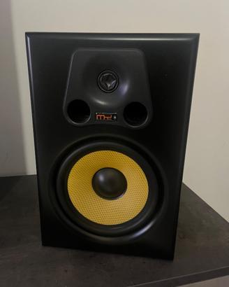 Coppia Casse monitora da studio my audio