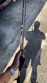 Canna da pesca spinning