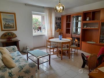 Luminoso e ampio appartamento