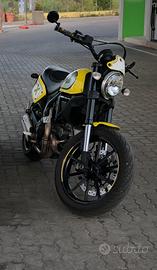 Ducati scrambler flat track pro