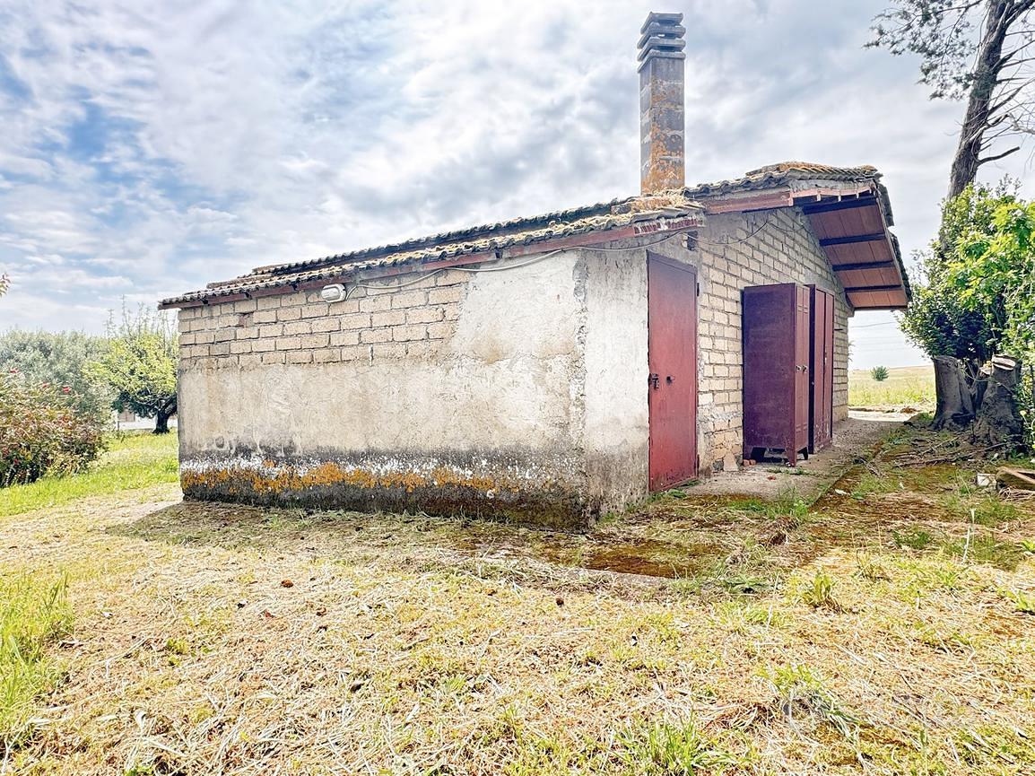 VILLA SINGOLA A ROMA - Altro