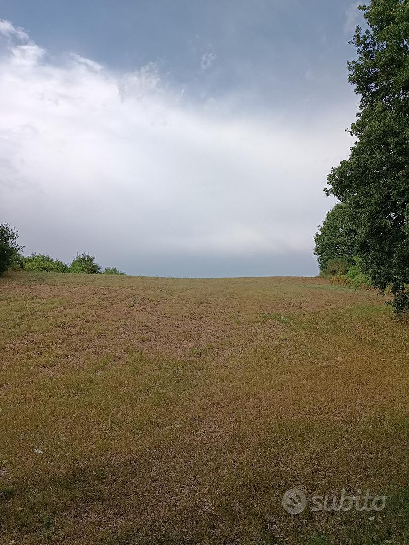 Terreno agricolo localita' Santa Maria Inferiore - Vista 5
