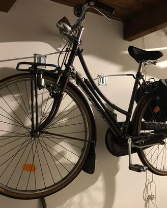 Bicicletta Raleigh