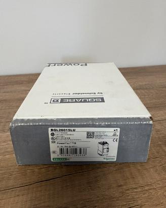 PowerPactB-interr.automa-15A 2P AC 35kA a 480/440V