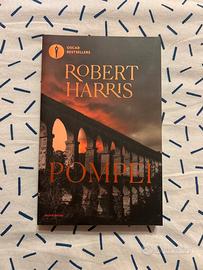 Libro storico su pompei