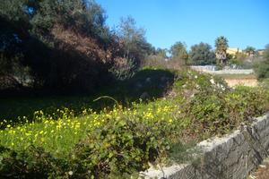 Tremilia, lotto di terreno edificabile