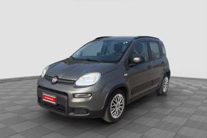 FIAT Panda Panda 1.0 FireFly Hybrid City Life