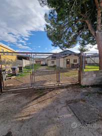 Laboratorio/capannone zona industriale
