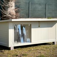 Cucce SUPERCOIBENTATE x cani