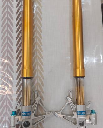 Forcelle Ohlins Aprilia  RSV 1000 Tuono Gen1