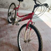Mountain bike 26” donna