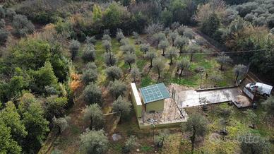 Terreno uliveto magazzino
