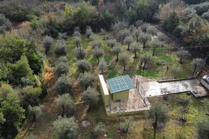 Terreno uliveto magazzino