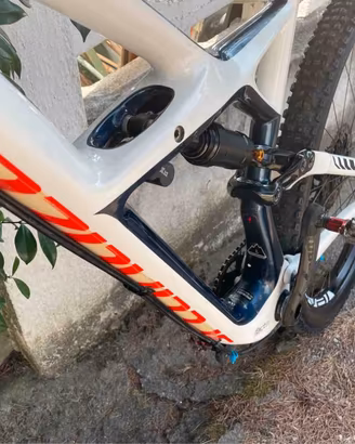 SPECIALIZED mtb Telaio Carbon RUOTE 29