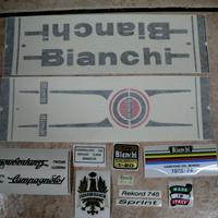 Serie completa adesivi per Bianchi 745