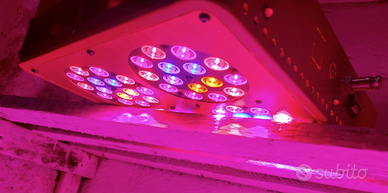 Lampada LED per coltivazione indoor PhytoLED