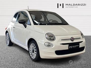 FIAT 500 1.0 hybrid Cult 70cv