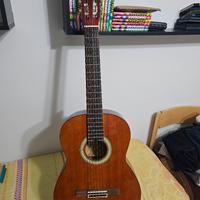 Chitarra classica Salterio 