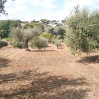 Terreno agricolo edificabile