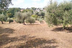 Terreno agricolo edificabile
