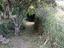 Immagine 16