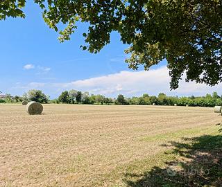 Concessione terreni per lavorazione agricole