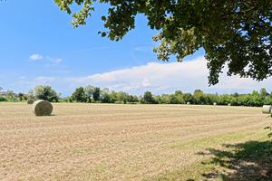 Concessione terreni per lavorazione agricole