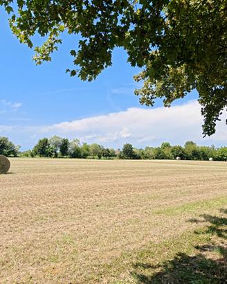 Concessione terreni per lavorazione agricole