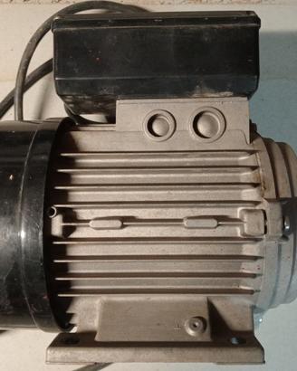 Motore elettrico 220V