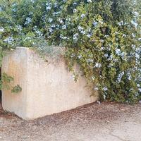 Coppia di grandi vasi monoblocco in pietra