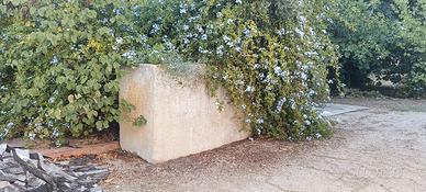 Coppia di grandi vasi monoblocco in pietra