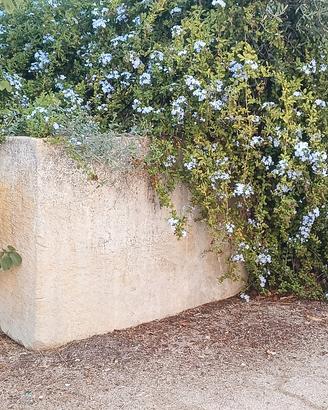 Coppia di grandi vasi monoblocco in pietra