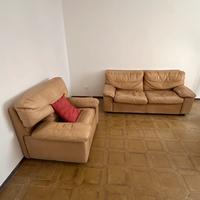 Divano e poltrona in pelle