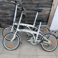 Coppia biciclette e sun 061
