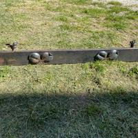 Alari, feri dastiro vecchi e salva cenere percamin