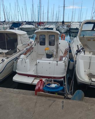 Arvor 21 as