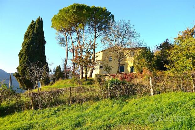 Scarperia (Sant'Agata) - Colonica con giardino