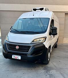 Fiat Ducato Furgone Frigo Congelatore fino a -20°