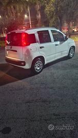 Fiat Panda 1.3 multijet 80 cv Lounge