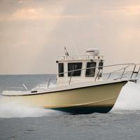 Proteo 23 Pesca + 150HP VM