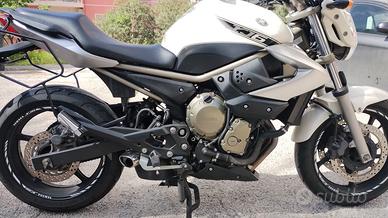 Yamaha XJ6-N 2009