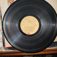 DUECENTO VINILI DI ROCK E JAZZ
