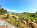 terreno-in-zona-via-san-matteo-giarre