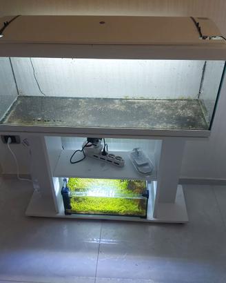 Acquario 120 litri