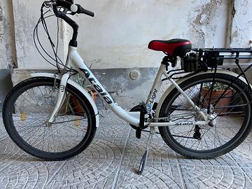 Bicicletta a pedalata assistita