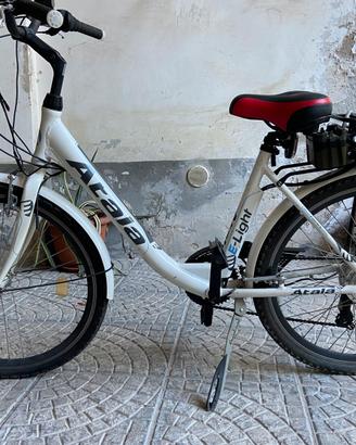 Bicicletta a pedalata assistita