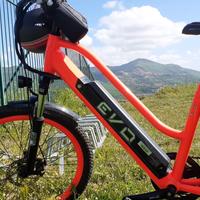 bicicletta elettrica Evo 250w